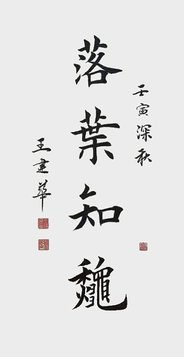 王建华作品 (5)
